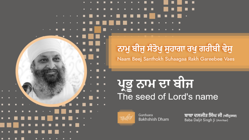 The seed of Lord’s name | ਪ੍ਰਭੂ ਨਾਮ ਦਾ ਬੀਜ