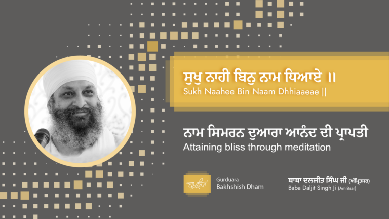 Attaining bliss through meditation | ਨਾਮ ਸਿਮਰਨ ਦੁਆਰਾ ਆਨੰਦ ਦੀ ਪ੍ਰਾਪਤੀ