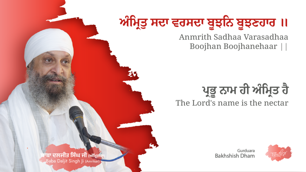The Lord’s name is the nectar | ਪ੍ਰਭੂ ਨਾਮ ਹੀ ਅੰਮ੍ਰਿਤ ਹੈ