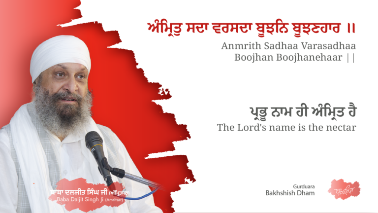 The Lord’s name is the nectar | ਪ੍ਰਭੂ ਨਾਮ ਹੀ ਅੰਮ੍ਰਿਤ ਹੈ