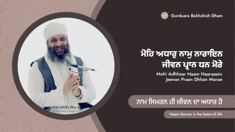 ਨਾਮ ਸਿਮਰਨ ਹੀ ਜੀਵਨ ਦਾ ਅਧਾਰ ਹੈ | Naam Simran is the basis of life
