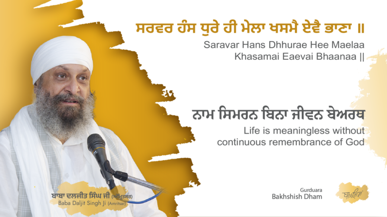 Life is meaningless without continuous remembrance of God | ਨਾਮ ਸਿਮਰਨ ਬਿਨਾ ਜੀਵਨ ਬੇਅਰਥ
