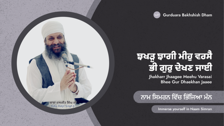 ਨਾਮ ਸਿਮਰਨ ਵਿੱਚ ਭਿੱਜਿਆ ਮੰਨ | Immerse yourself in Naam Simran