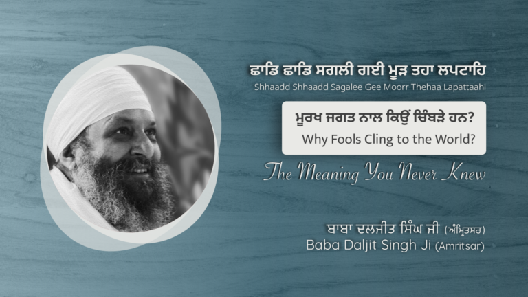 ਮੂਰਖ ਜਗਤ ਨਾਲ ਕਿਉਂ ਚਿੰਬੜੇ ਹਨ? Why Fools Cling to the World?