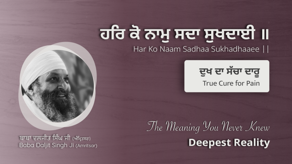 ਦੁਖ ਦਾ ਸੱਚਾ ਦਾਰੂ | True Cure for Pain