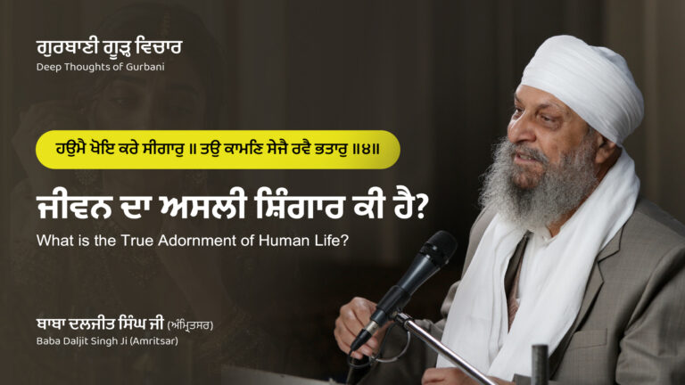 ਜੀਵਨ ਦਾ ਅਸਲੀ ਸ਼ਿੰਗਾਰ ਕੀ ਹੈ? | What is the True Adornment of Human Life?