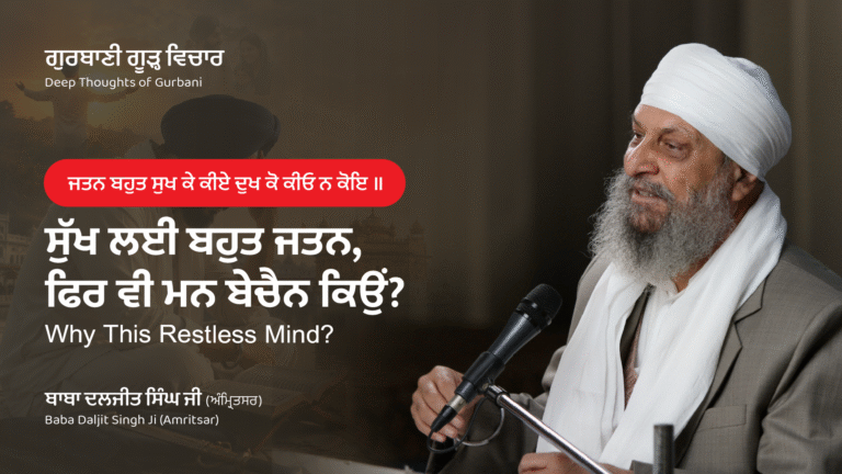 ਸੁੱਖ ਲਈ ਬਹੁਤ ਜਤਨ, ਫਿਰ ਵੀ ਮਨ ਬੇਚੈਨ ਕਿਉਂ? | Why This Restless Mind?